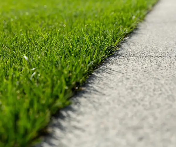 Shutterstock 2549125857