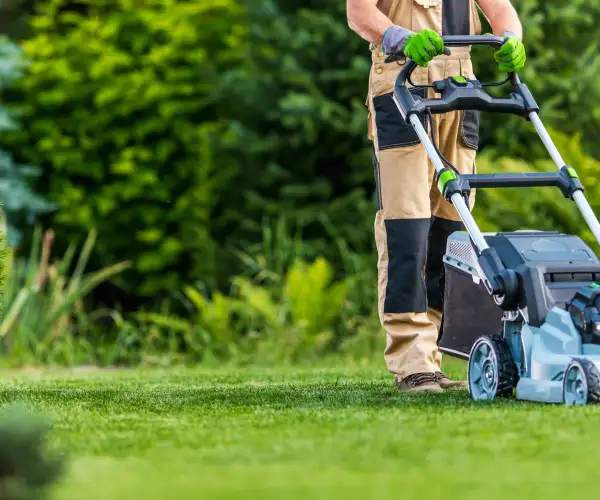 Shutterstock 1789023152